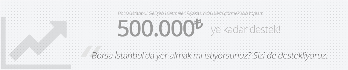 Gelişen İşletmeler Piyasası Kobi Destek Programı