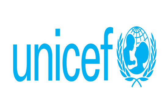 Unicef Short Term National Institutional Consultancy Tender