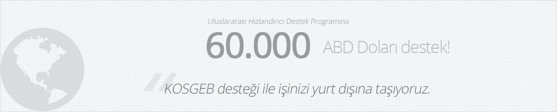 Uluslararası Kuluçka Merkezi ve Hızlandırıcı Destek Programı