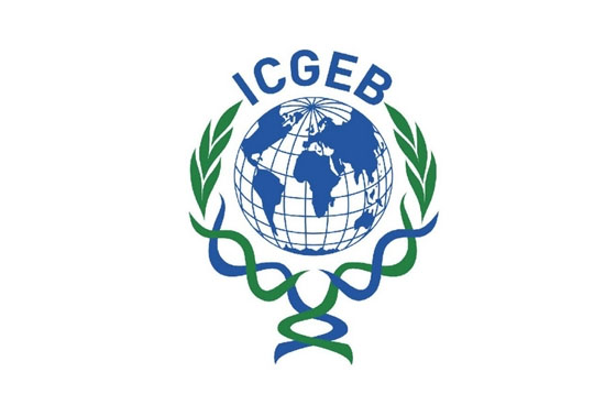 ICGEB İşbirlikçi Araştırma (Collaborative Resarch Programme – CRP) Hibe Programı
