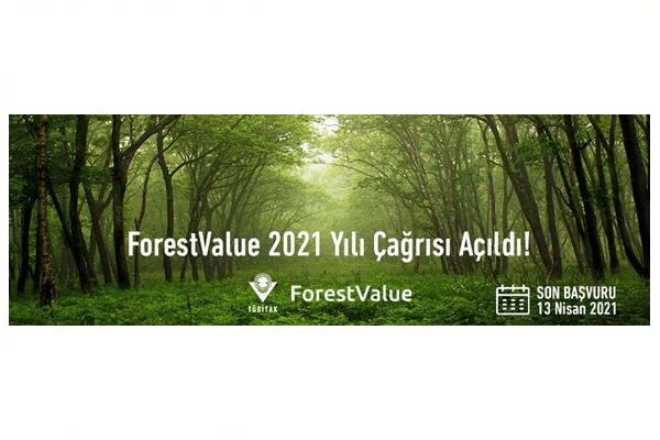ForestValue