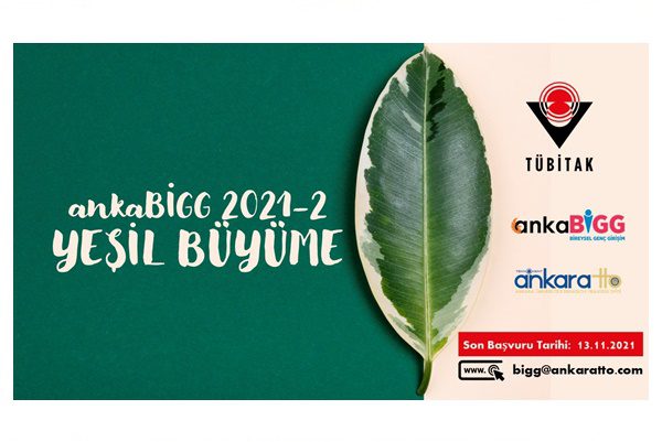 ankaBiGG