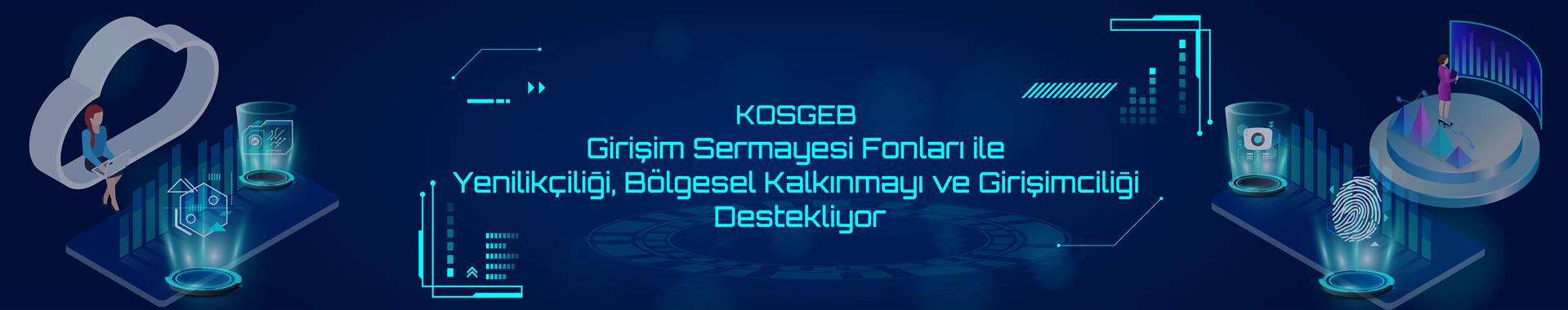 Girişim Sermayesi Fonları