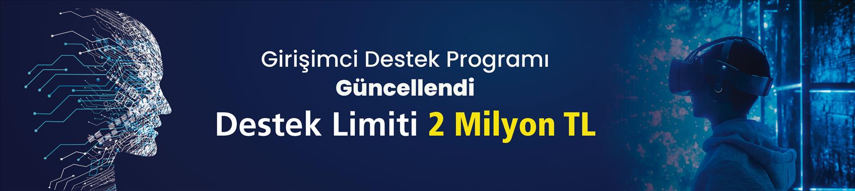 Girişimcilik